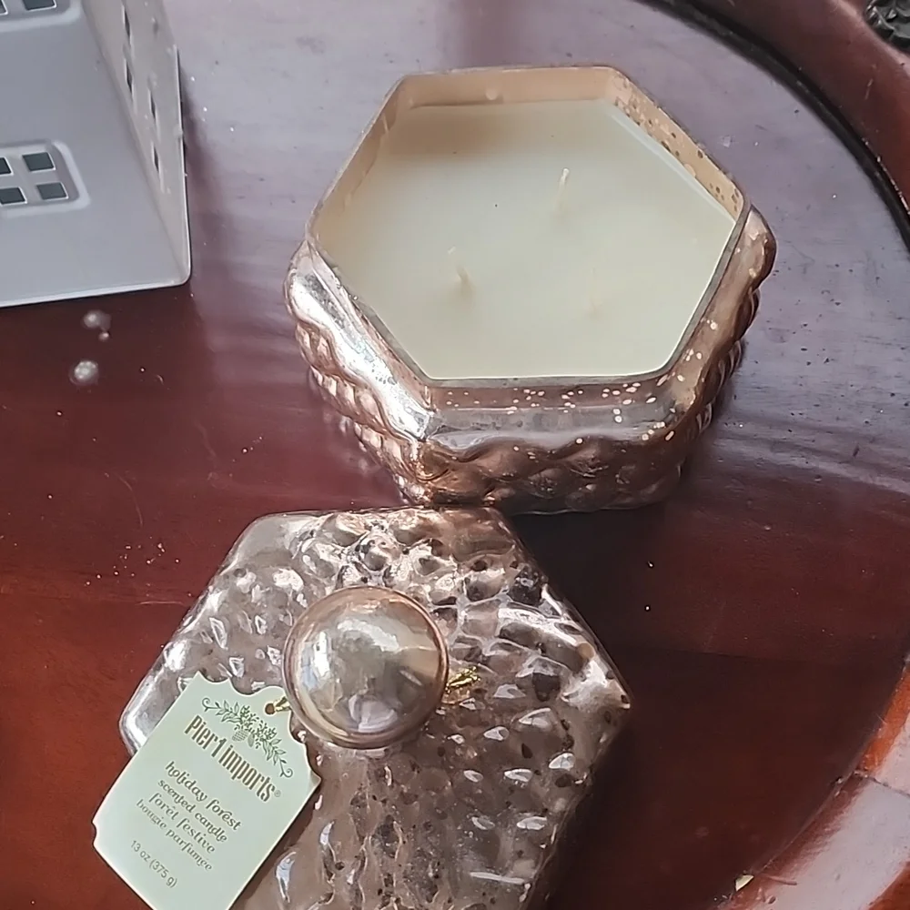 Pier 1 Imports Scene Candle